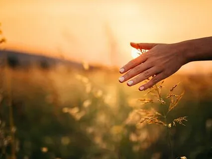 Wake Up Grateful Every Day