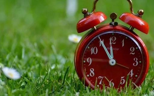 Wake Up Morning, Joy And Gratitude