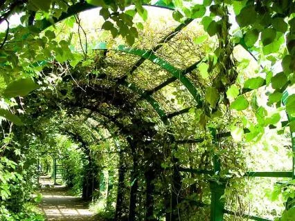 Wake Up Safely In The Morning Greenhouse