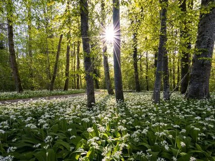 Wake Up To Life: Strong Breaths & Affirmations