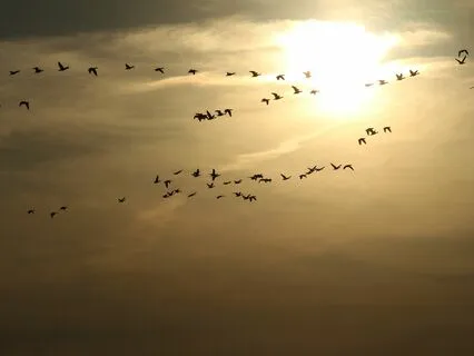 Wake up to Mindful Morning Music | Every day is a Miracle