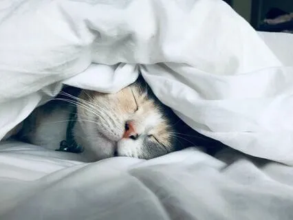 Wake Up With A Smile – Morning Meditation