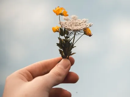 Wake Up Your Inner Wisdom