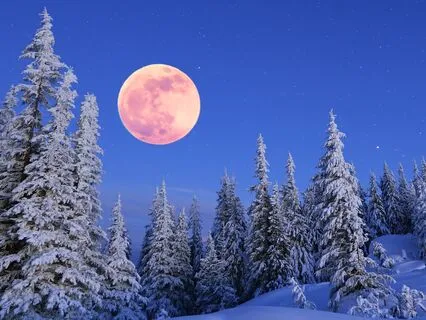 Wake Up Your Intuition This Wolf Moon With Tuning Forks