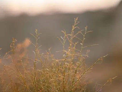 Wake Up Your Light | To Energize & Inspire