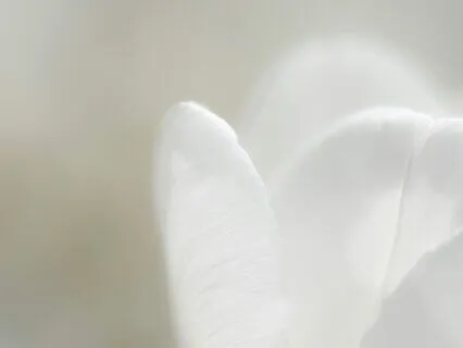 Wake With Love - Softness For Your Morning