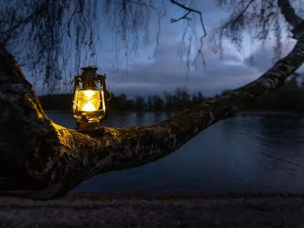 Wake Your Soul & Find Your Higher Self