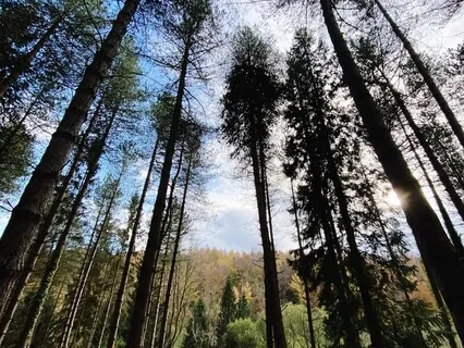 Wakey Wakey - A Meditation To Start The Day With Intention