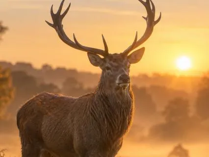 Waking Up: A Bright And Positive Morning