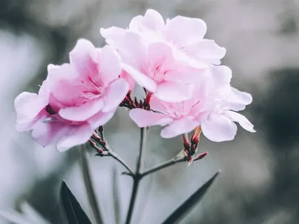 Waking Up - Contemplation To Start The Day