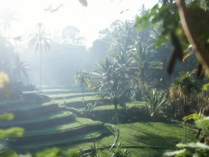 Waking Up In Harmony