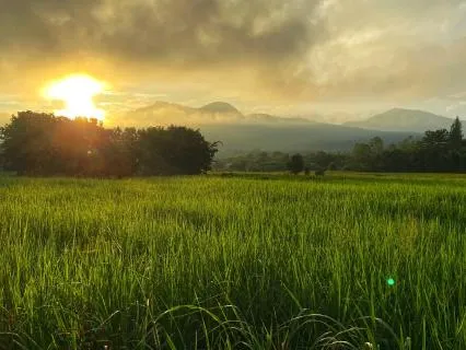 Waking Up In Northern Thailand - Morning Nature Sounds