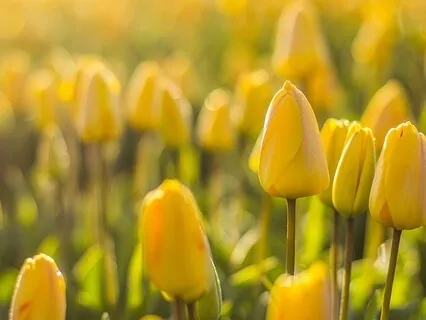 Waking Up This Morning