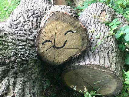 Waking Up To Each Moment Of Your Life