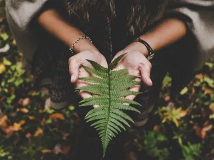 Waking Up To Transition - Honouring Change