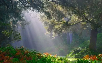 Waking Up With Awareness