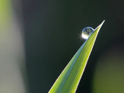 Waking Up With Gratitude Om Shanti Om