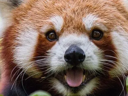 Waking Up With Gratitude