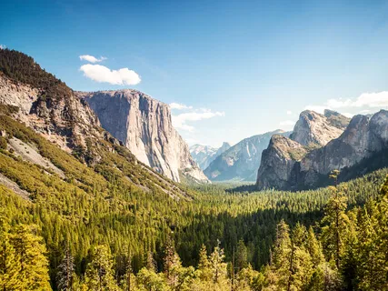 Waking Up With The 5.3.1.1 Breath