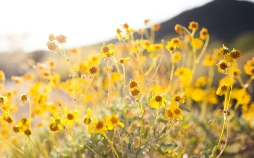 Waking With Self-Love