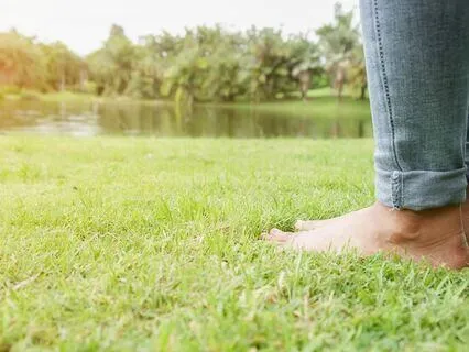 Walk In Beauty Earthing Meditation