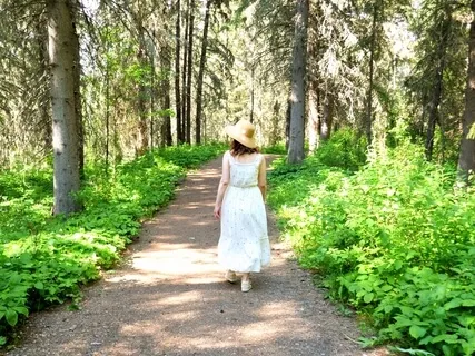 Walk In The Forest - Guided Meditation