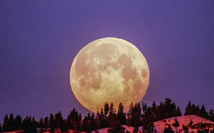 Walk In The Moonlight