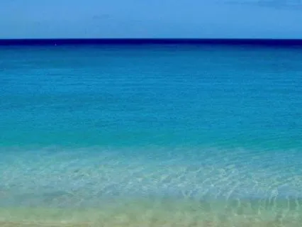Walk In The Sun — 14 Min Vitamin D Meditation For Anxiety