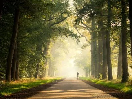 Walk Lightly: A Practice Before Work