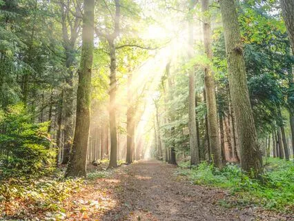 Walk On | Songs for Soul Space