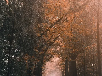 Walk Slowly By Danna Foulds- Poem Meditation 