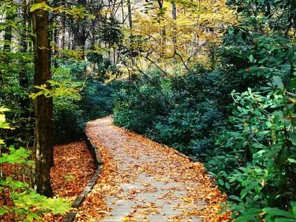 Walk the Path of Light