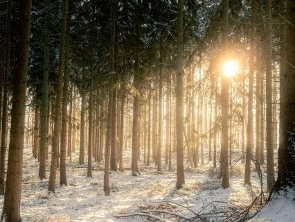 Walk Through The Open Door