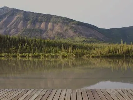 Walk To The Lake - A Singing Sound Bath For Deep Rest