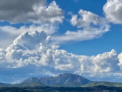 Walking: A Mindfulness Meditation