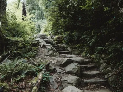 Walking Each Other Home 