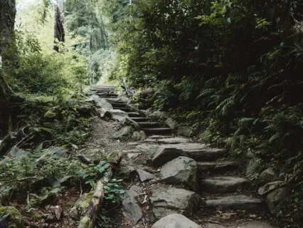 Walking Each Other Home 