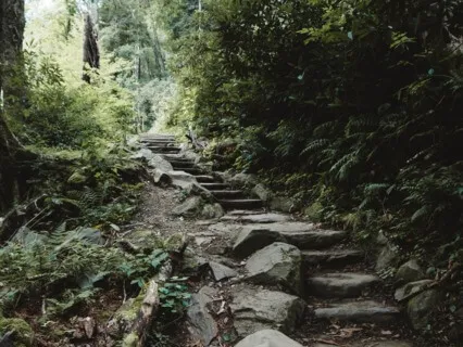 Walking Each Other Home 