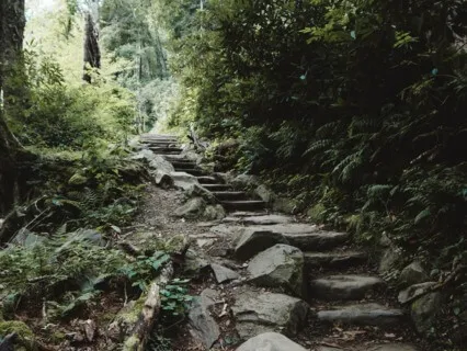 Walking Each Other Home 