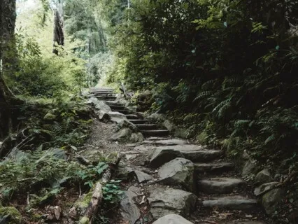 Walking Each Other Home 