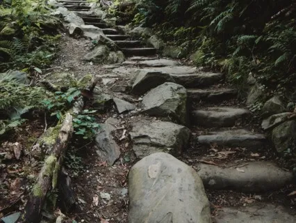 Walking Each Other Home - Aug 18, 2022