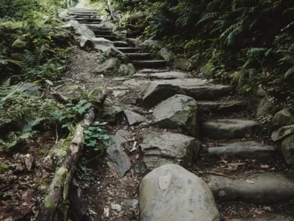 Walking Each Other Home - July 14, 2022