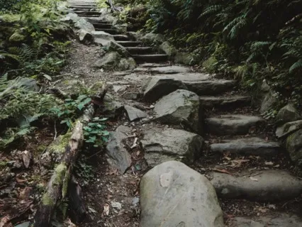 Walking Each Other Home - July 21, 2022