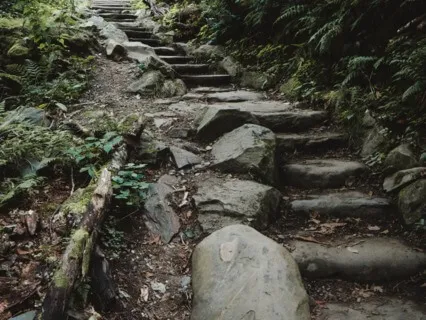 Walking Each Other Home - July 28, 2022