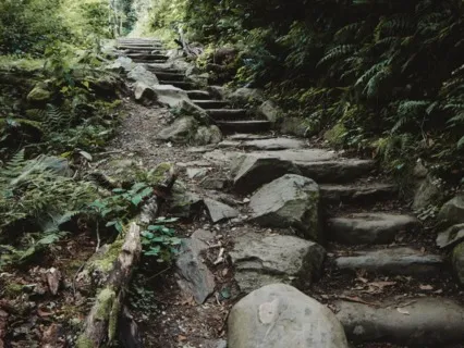 Walking Each Other Home - July 7, 2022 