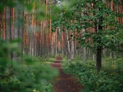 Walking Each Other Home - Nov 10, 2022