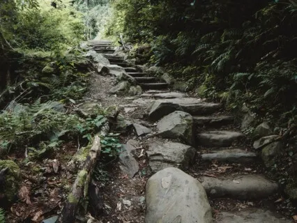 Walking Each Other Home - Nov 3, 2022