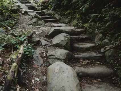 Walking Each Other Home - Sept 15, 2022