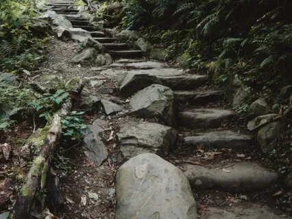 Walking Each Other Home - Sept 22, 2022