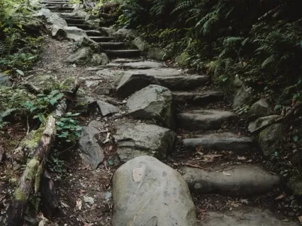 Walking Each Other Home - Sept 8, 2022